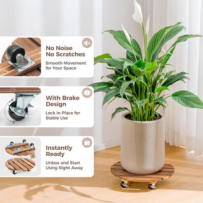 CLGardenLTD Plant Stand Outdoor Rolling Tray Plant Caddy with Wheels 12in Plant Caster with Wheels Planter Caddy Flower Cart Plant Dolly for Heavy Duty Large Plants Plant Rollers (2 Pack )